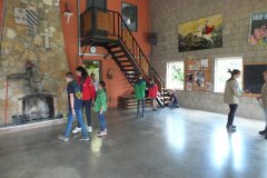 DSCF3687